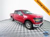 Pre-Owned 2024 Ford F-150 XLT
