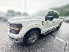 Pre-Owned 2024 Ford F-150 XLT