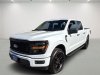 Pre-Owned 2025 Ford F-150 STX