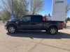 Pre-Owned 2021 Ford F-150 XLT