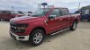 New 2025 Ford F-150 XLT