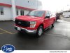 Pre-Owned 2022 Ford F-150 XL