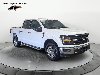 Pre-Owned 2025 Ford F-150 XLT