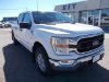 Pre-Owned 2021 Ford F-150 XLT
