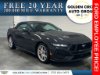 New 2024 Ford Mustang GT Premium