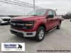 Pre-Owned 2024 Ford F-150 XLT