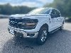 Pre-Owned 2026 Ford F-150 XLT