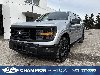 Pre-Owned 2024 Ford F-150 STX