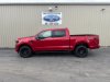 New 2025 Ford F-150 XLT