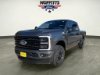 New 2026 Ford Super Duty F-350 SRW Platinum