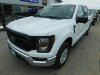 Pre-Owned 2023 Ford F-150 XL