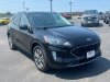 Pre-Owned 2021 Ford Escape SEL