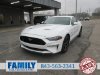 Pre-Owned 2019 Ford Mustang GT