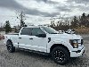 Pre-Owned 2023 Ford F-150 XL