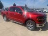 New 2025 Ford F-150 XLT