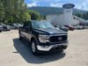 Pre-Owned 2022 Ford F-150 XLT