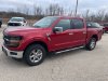 Pre-Owned 2024 Ford F-150 XLT