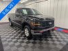 Pre-Owned 2024 Ford F-150 XL