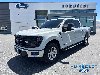Certified Pre-Owned 2024 Ford F-150 XLT
