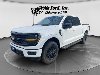 New 2026 Ford F-150 XLT