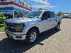 New 2026 Ford F-150 XLT