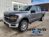 New 2024 Ford F-150 XLT