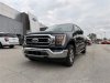 Pre-Owned 2023 Ford F-150 XLT