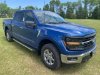 New 2024 Ford F-150 XLT