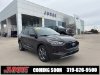 Pre-Owned 2023 Ford Escape ST-Line