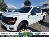 Pre-Owned 2025 Ford F-150 STX