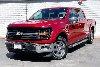 Pre-Owned 2025 Ford F-150 XLT