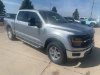 New 2025 Ford F-150 XLT