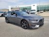 Pre-Owned 2024 Ford Mustang EcoBoost Premium