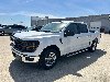 Pre-Owned 2025 Ford F-150 XLT