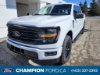 New 2025 Ford F-150 XLT