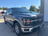New 2024 Ford F-150 XLT