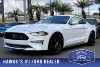 Pre-Owned 2022 Ford Mustang EcoBoost