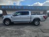 New 2024 Ford F-150 XLT