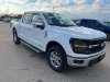 New 2024 Ford F-150 XLT