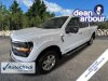 Pre-Owned 2024 Ford F-150 XLT