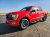 Pre-Owned 2023 Ford F-150 XLT