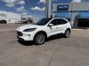 Pre-Owned 2022 Ford Escape Titanium