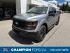 New 2024 Ford F-150 STX