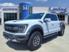 Pre-Owned 2023 Ford F-150 Raptor