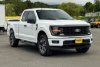 Pre-Owned 2024 Ford F-150 STX
