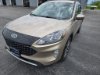 Pre-Owned 2020 Ford Escape SEL