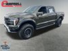 Pre-Owned 2025 Ford F-150 Raptor