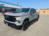 New 2024 Chevrolet Silverado 1500 LT Trail Boss