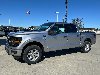 New 2026 Ford F-150 XLT