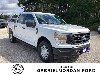 Pre-Owned 2022 Ford F-150 XL